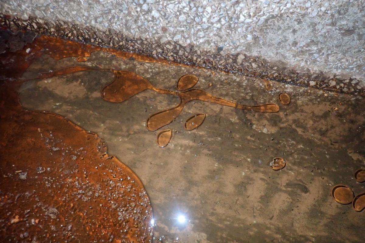 Αυτοψία στο Ρέμα Φιλοθέης