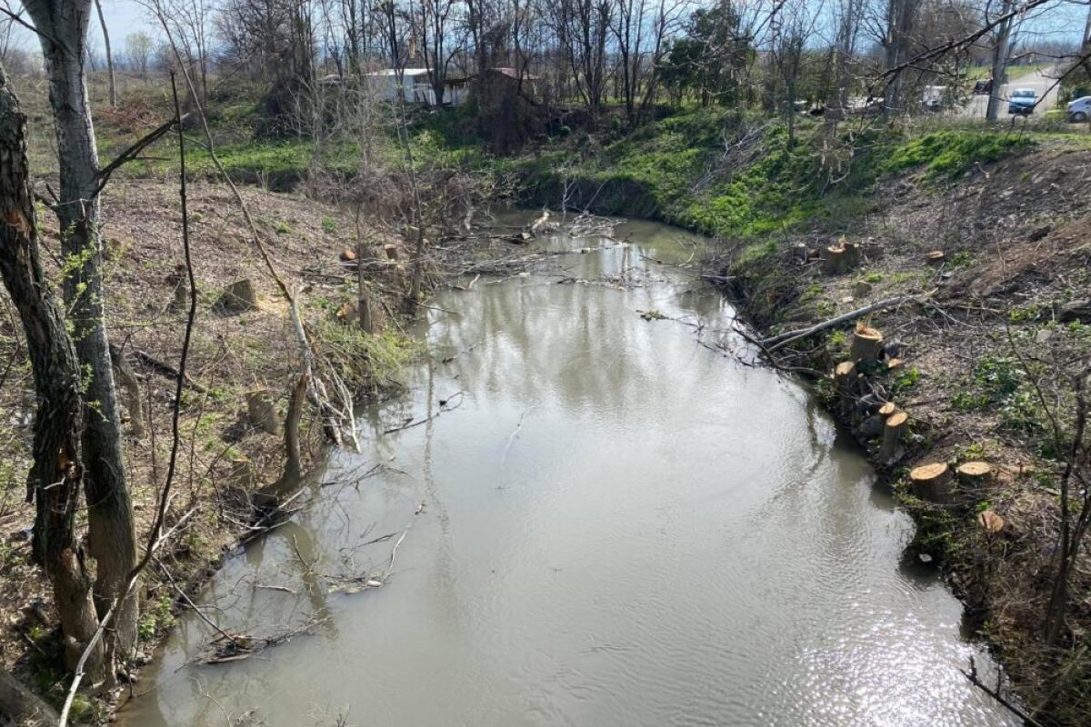 Περιβαλλοντικό έγκλημα η αποψίλωση του Αγιαμονιώτη στα Τρίκαλα