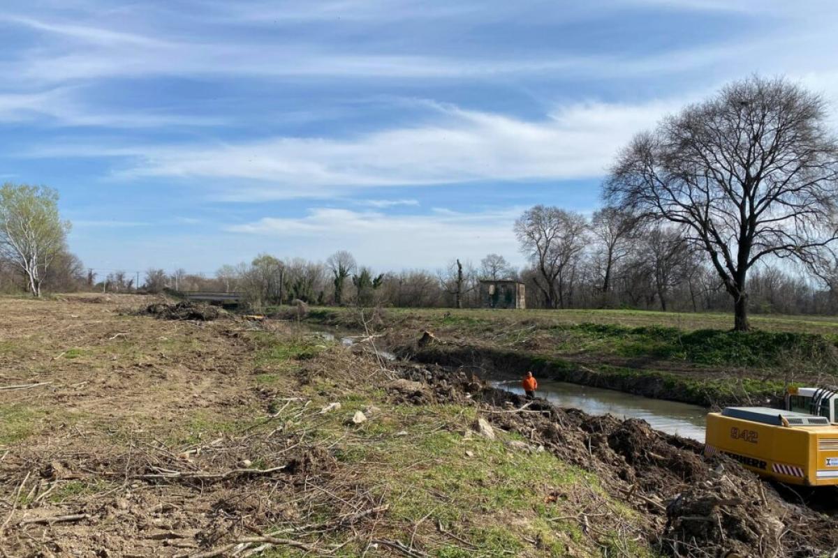Περιβαλλοντικό έγκλημα η αποψίλωση του Αγιαμονιώτη στα Τρίκαλα