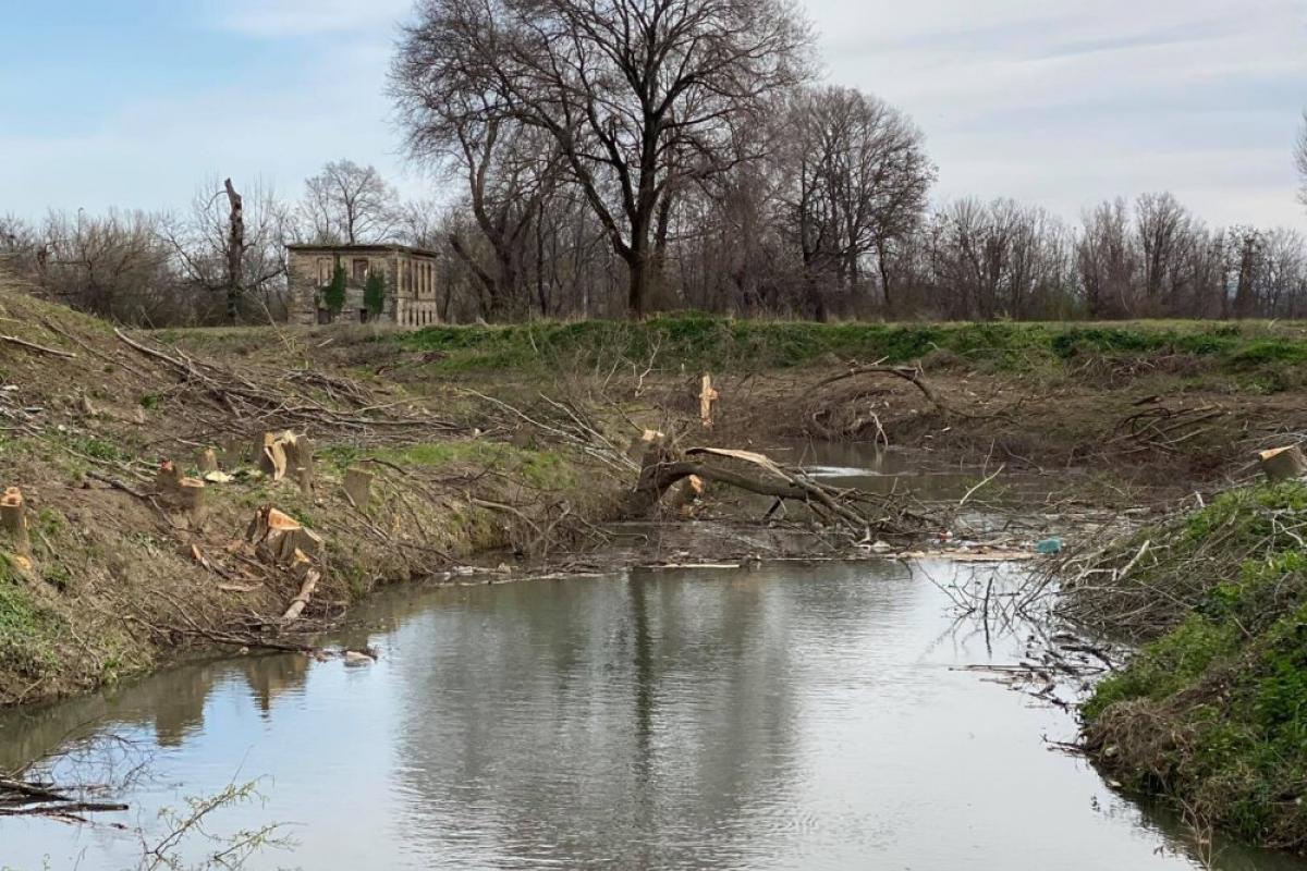 Περιβαλλοντικό έγκλημα η αποψίλωση του Αγιαμονιώτη στα Τρίκαλα