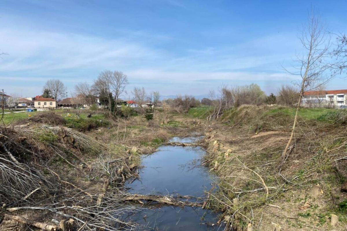 Περιβαλλοντικό έγκλημα η αποψίλωση του Αγιαμονιώτη στα Τρίκαλα