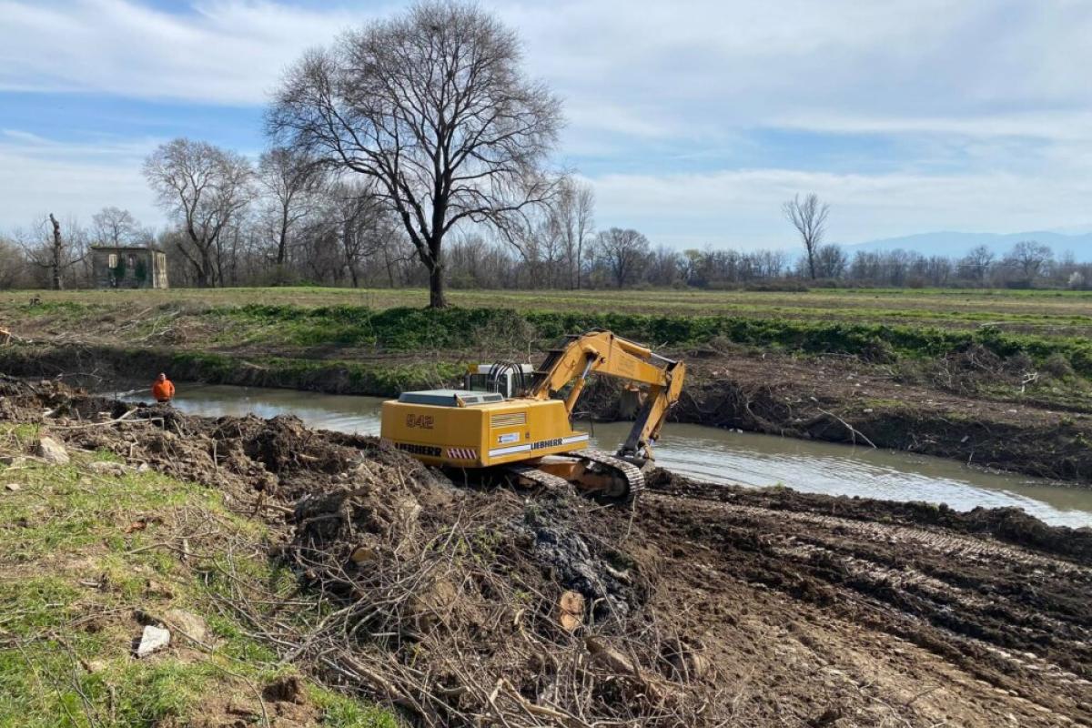 Περιβαλλοντικό έγκλημα η αποψίλωση του Αγιαμονιώτη στα Τρίκαλα