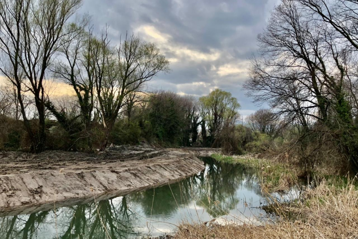 Περιβαλλοντικό έγκλημα η αποψίλωση του Αγιαμονιώτη στα Τρίκαλα