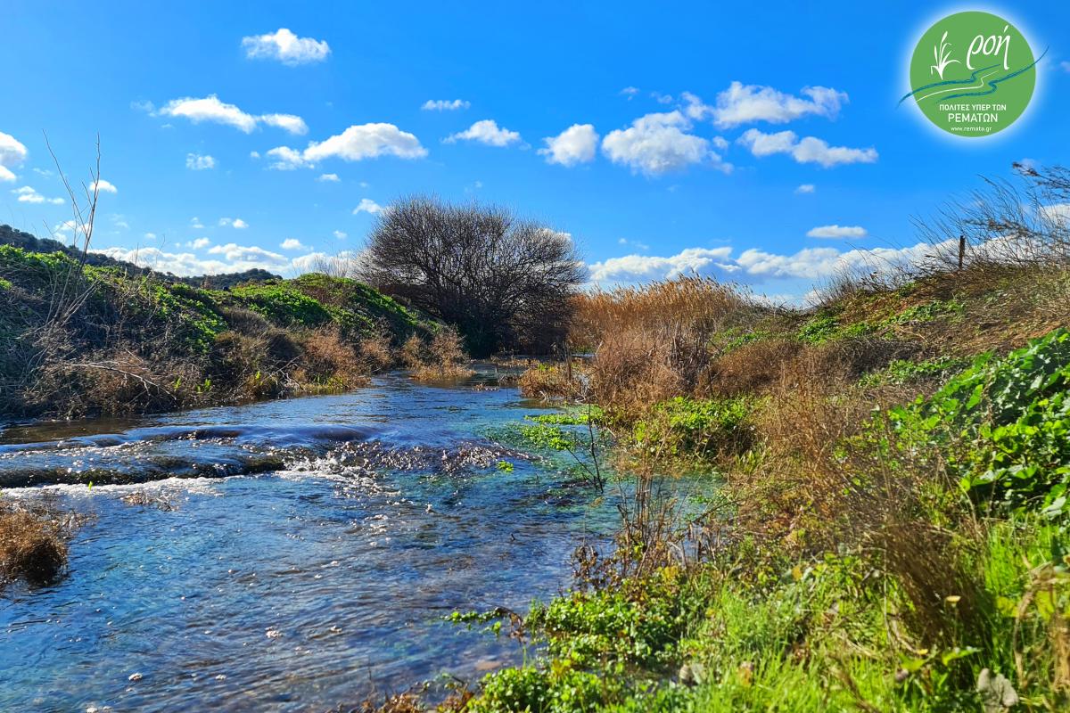 ΠΑΓΚΟΣΜΙΑ ΗΜΕΡΑ ΠΕΡΙΒΑΛΛΟΝΤΟΣ - Όχι στην καταστροφή του Ερασίνου και της Βραυρώνας!