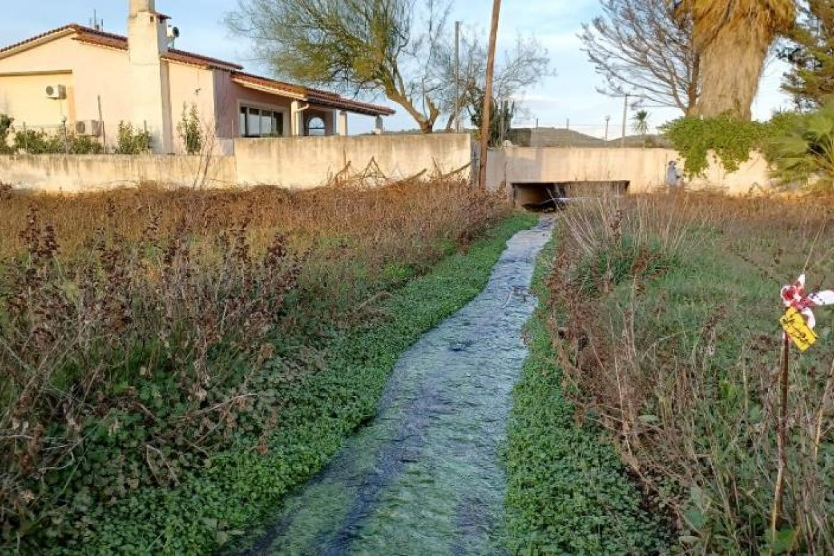 Τί συμβαίνει στον Ερασίνο - Ζητούμε στήριξη και συμμετοχή | Ροή - Πολίτες υπέρ των ρεμάτων