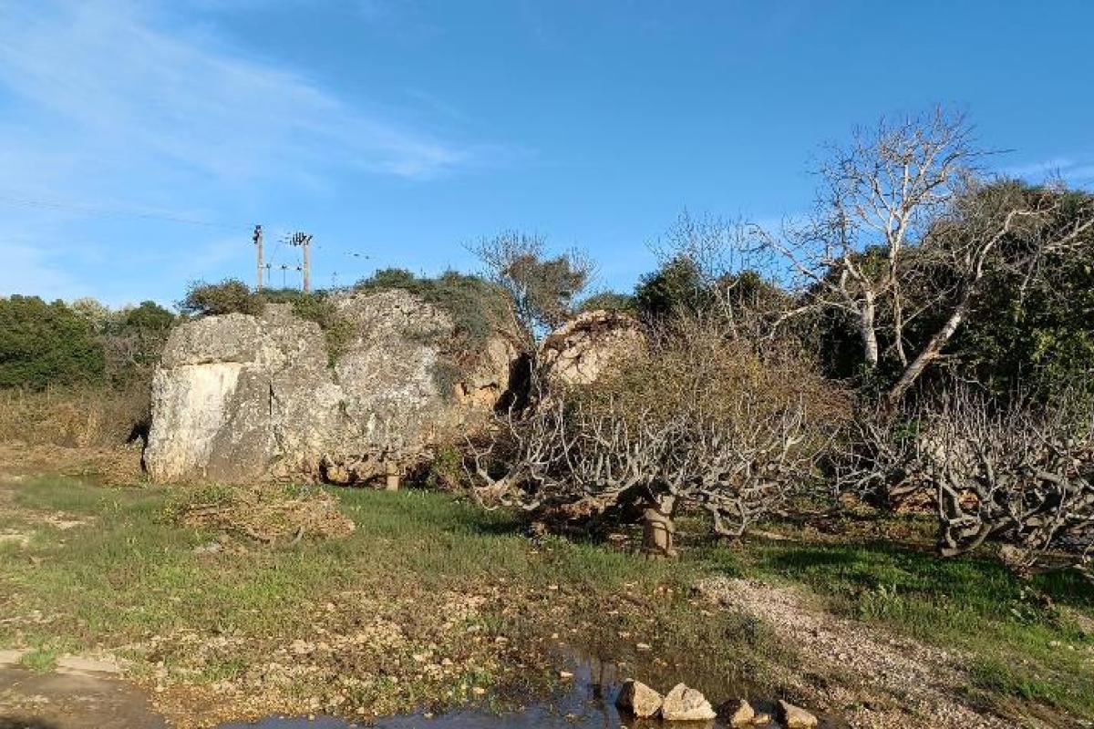 Τί συμβαίνει στον Ερασίνο - Ζητούμε στήριξη και συμμετοχή | Ροή - Πολίτες υπέρ των ρεμάτων