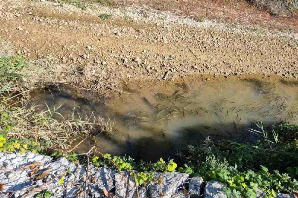 Καταστροφή στον Ποταμό Λούρο - πηγή epiruspost.gr