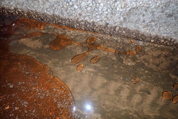 Αυτοψία στο Ρέμα Φιλοθέης