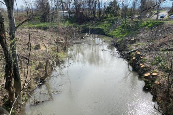 Περιβαλλοντικό έγκλημα η αποψίλωση του Αγιαμονιώτη στα Τρίκαλα
