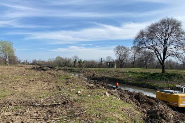Περιβαλλοντικό έγκλημα η αποψίλωση του Αγιαμονιώτη στα Τρίκαλα