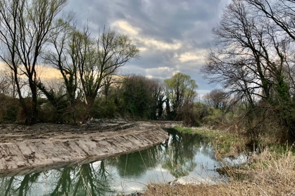 Περιβαλλοντικό έγκλημα η αποψίλωση του Αγιαμονιώτη στα Τρίκαλα