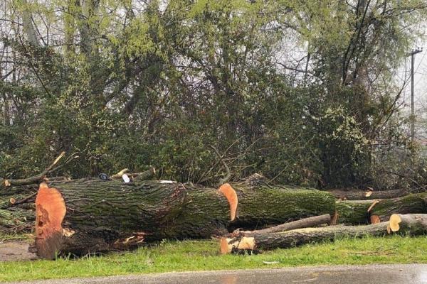 Σταματήστε το περιβαλλοντικό έγκλημα στο Ληθαίο ποταμό