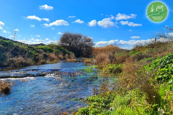 ΠΑΓΚΟΣΜΙΑ ΗΜΕΡΑ ΠΕΡΙΒΑΛΛΟΝΤΟΣ - Όχι στην καταστροφή του Ερασίνου και της Βραυρώνας!