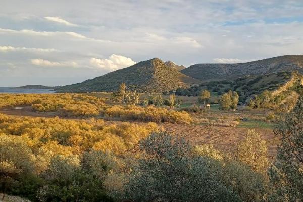 Τί συμβαίνει στον Ερασίνο - Ζητούμε στήριξη και συμμετοχή | Ροή - Πολίτες υπέρ των ρεμάτων