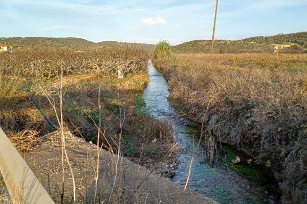Τί συμβαίνει στον Ερασίνο - Ζητούμε στήριξη και συμμετοχή | Ροή - Πολίτες υπέρ των ρεμάτων