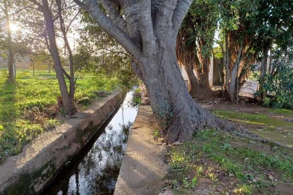 Τί συμβαίνει στον Ερασίνο - Ζητούμε στήριξη και συμμετοχή | Ροή - Πολίτες υπέρ των ρεμάτων