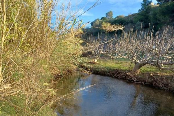 Τί συμβαίνει στον Ερασίνο - Ζητούμε στήριξη και συμμετοχή | Ροή - Πολίτες υπέρ των ρεμάτων