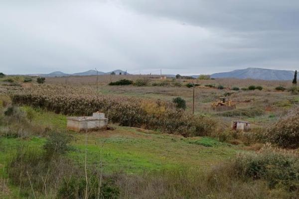 Τί συμβαίνει στον Ερασίνο - Ζητούμε στήριξη και συμμετοχή | Ροή - Πολίτες υπέρ των ρεμάτων