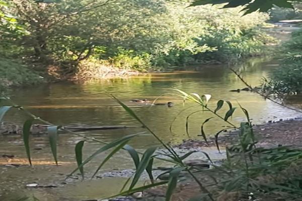 Όχι στην καταστροφή του Κηφισού ποταμού!