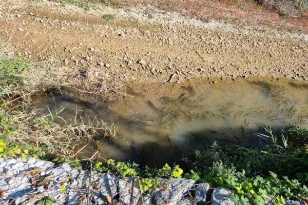 Καταστροφή στον Ποταμό Λούρο - πηγή epiruspost.gr