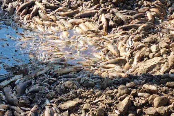 Καταστροφή στον Ποταμό Λούρο - πηγή epiruspost.gr