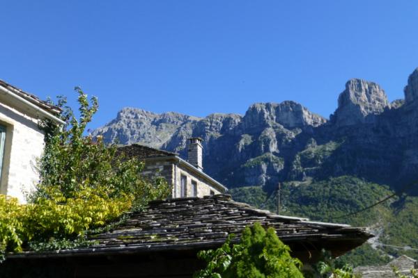 Κοινό Δ.Τ.: Μεγάλο Πάπιγκο: Η ανομία χωρίς όρια συνεχίζεται!