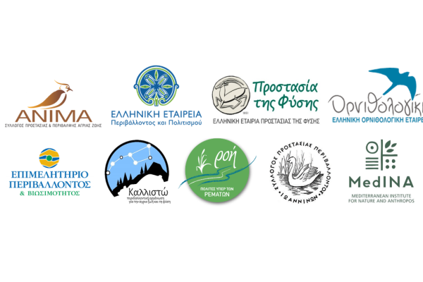 Πάπιγκο: Στις 7 Ιουνίου η εκδίκαση της υπόθεσης στο ΣτΕ