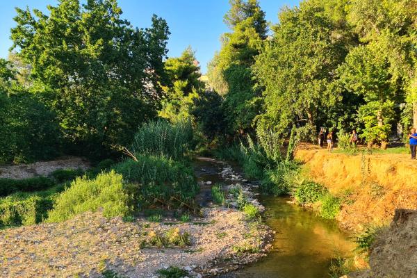 Μεγάλο Ρέμα Ραφήνας